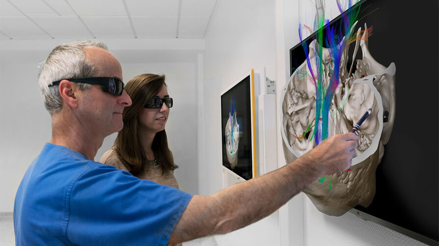 Professor Dr. Veit Braun examining a patient case in 3D