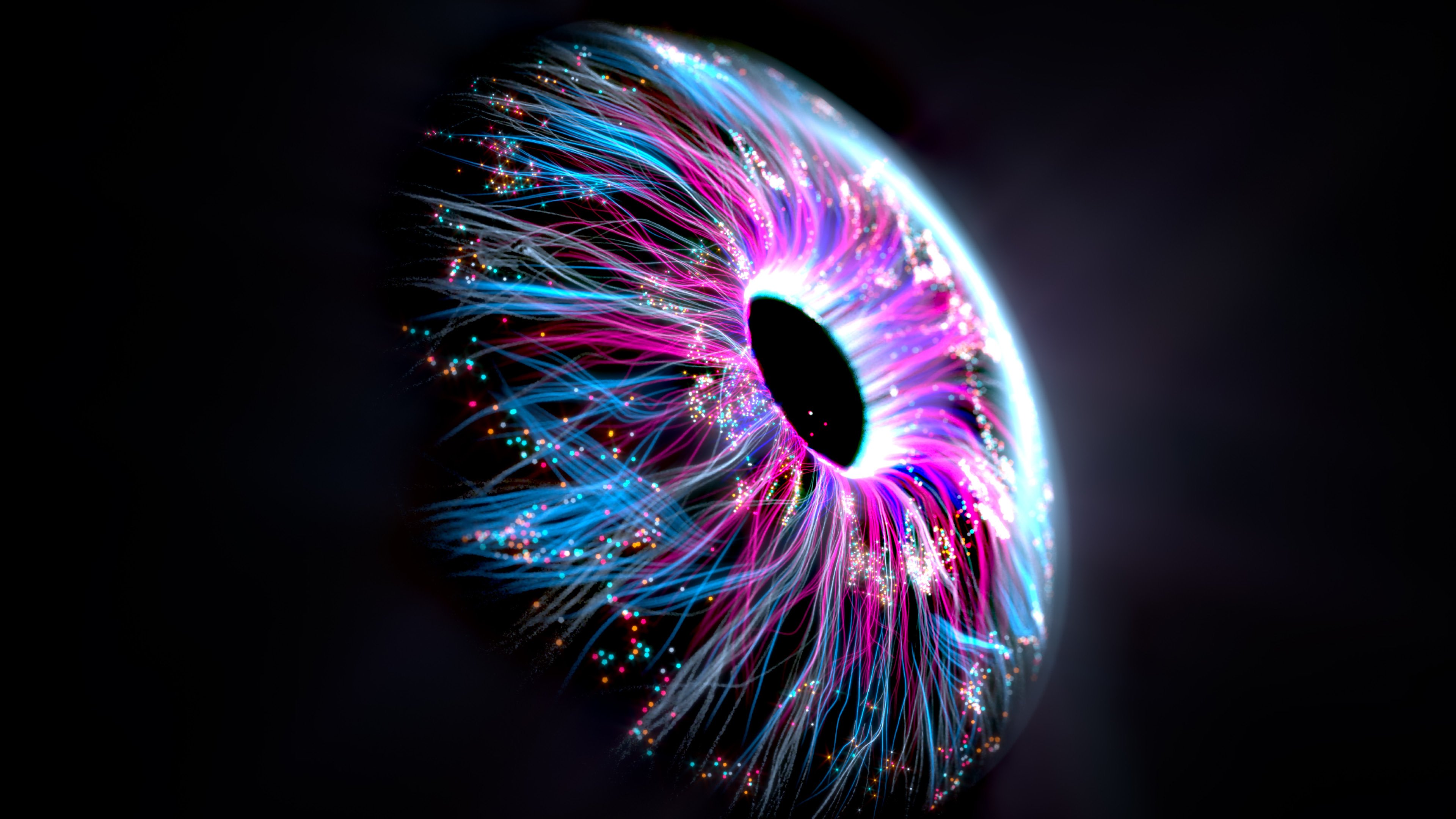 brandcentral_imagery9.jpg