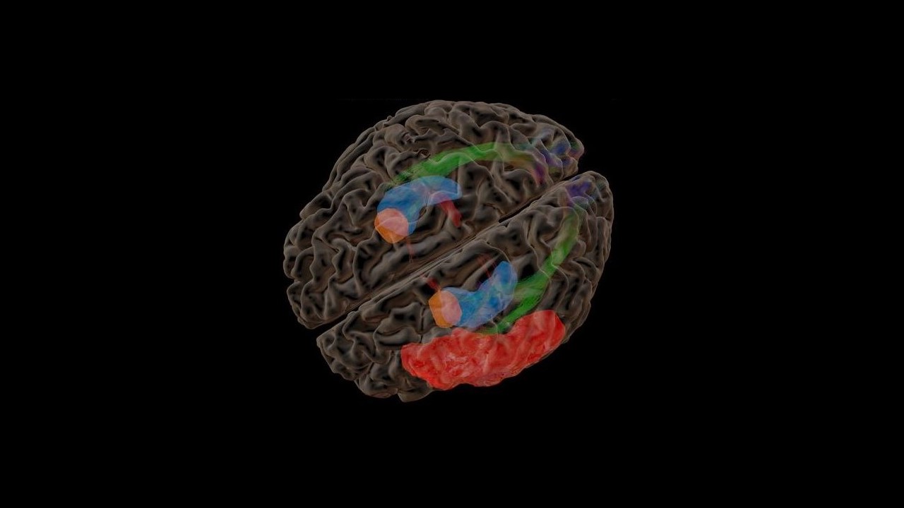epilepsywebinar4keyvisual.jpg