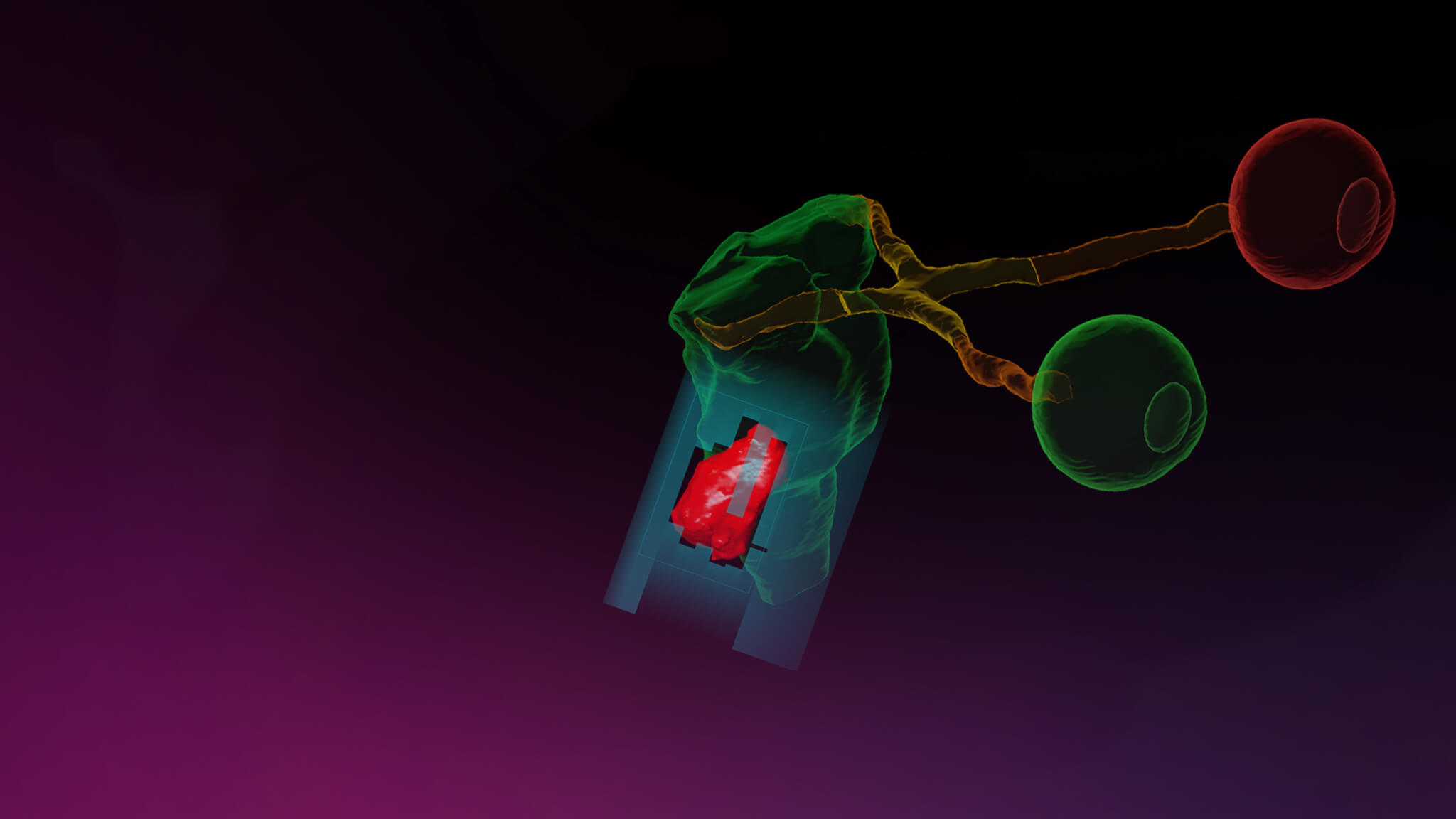 keyvisual_cranialrt.jpg