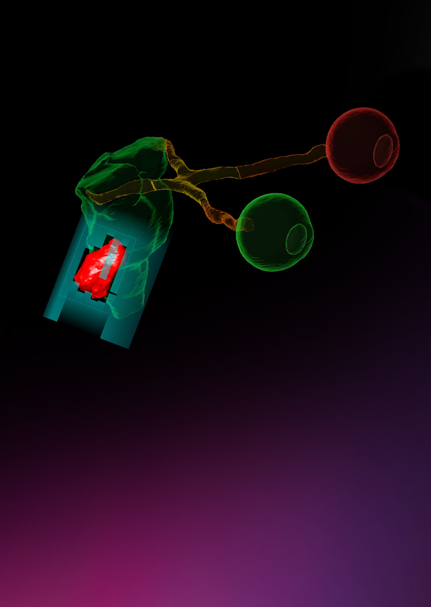 Postcard Format - Key Visual - Elements for Cranial Indications