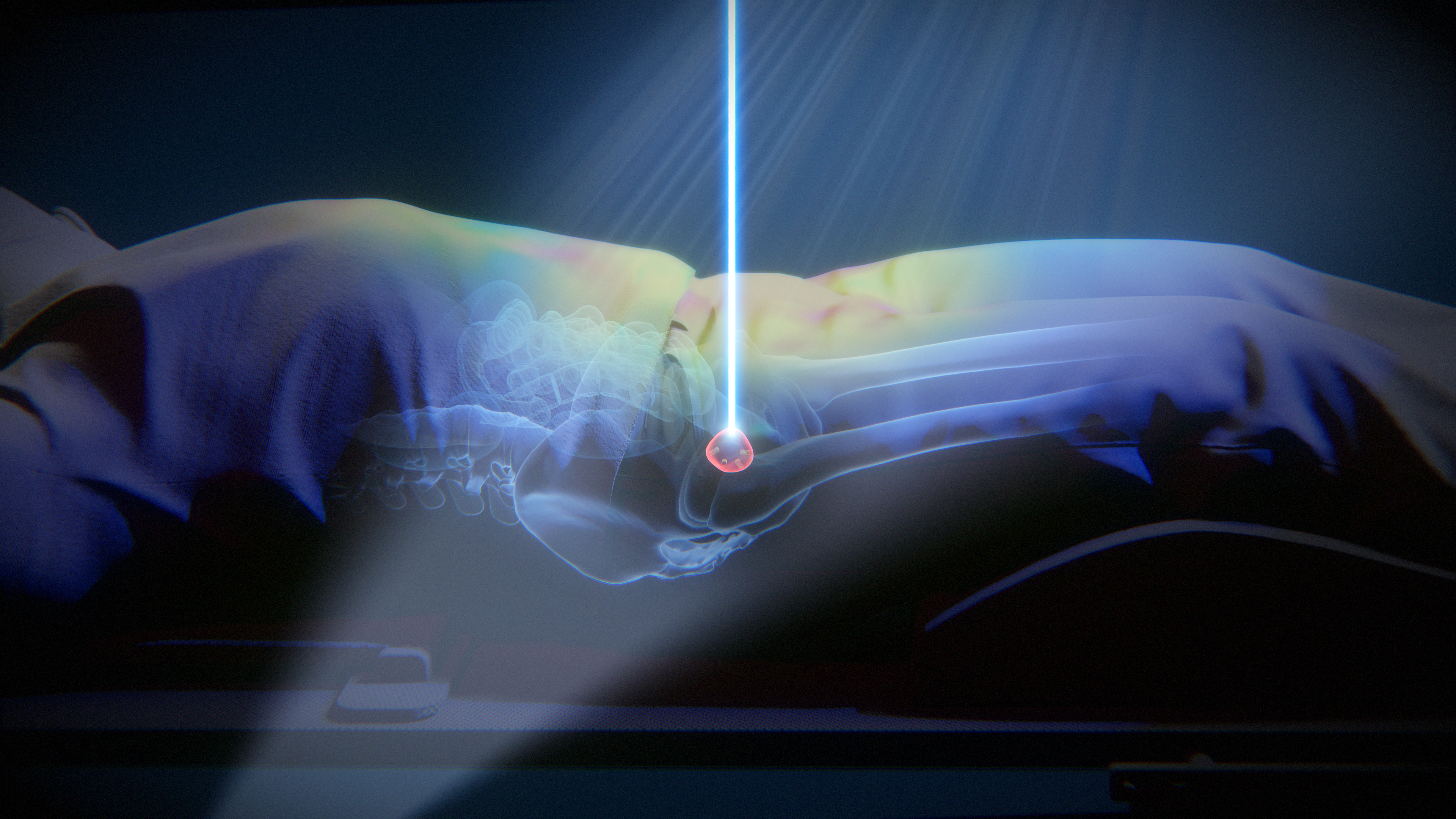 薬物治療学 : VISUAL CORE PHARMA Amazon.com: Visual Advantage® Macular Support + Meso-Z