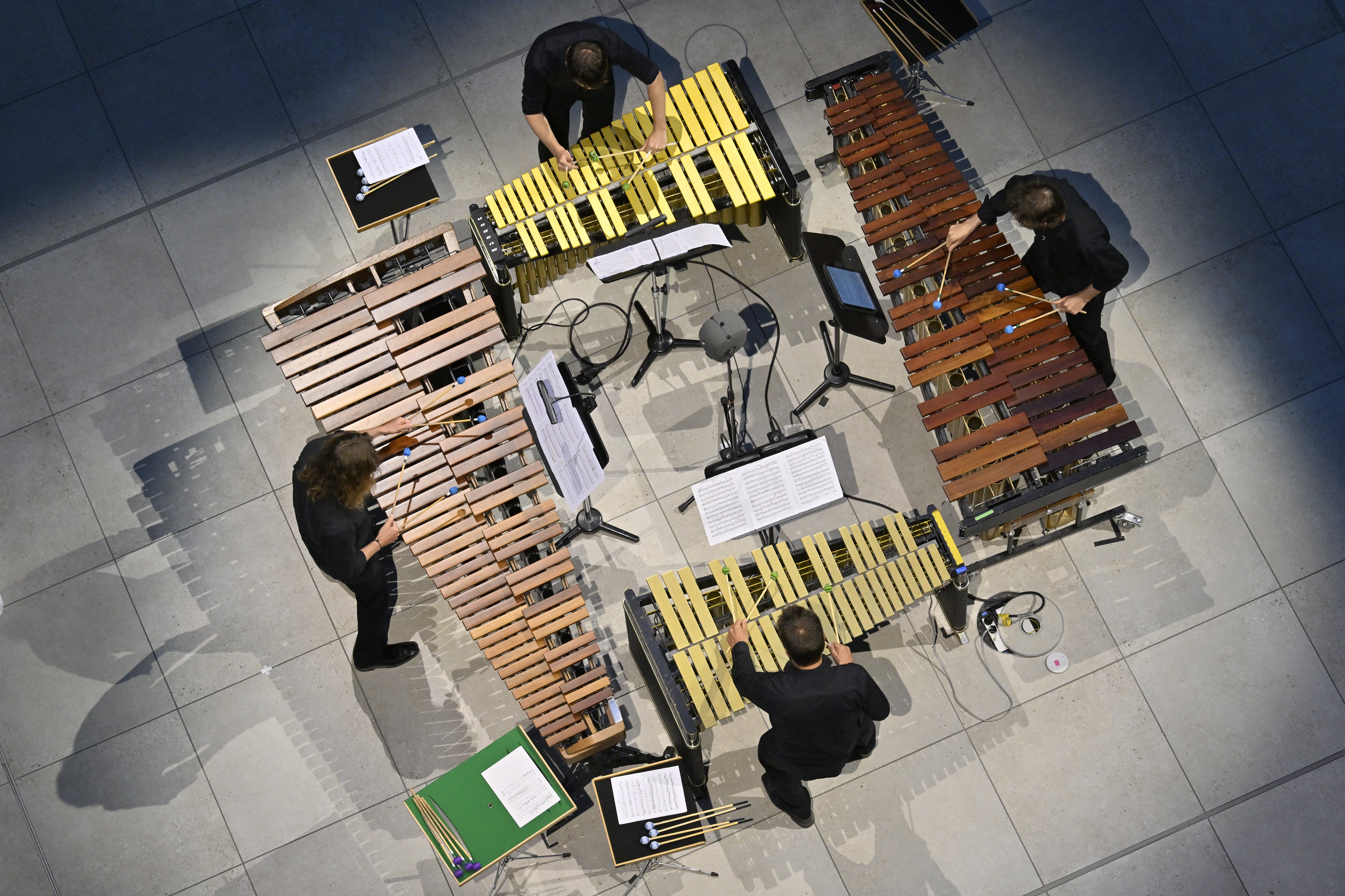 Brainlab Culture Program: Darstellende Kunst, Musik und kulturelle Bildung